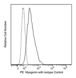 Myogenin Mouse, PE, Clone: F5D, BD 50 tests; PE:Antibodies, Monoclonal