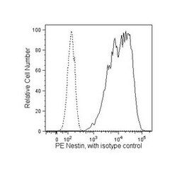 Nestin Mouse, PE, Clone: 25/NESTIN, BD 50 Tests | Buy Online | BD Biosciences | Fisher Scientific
