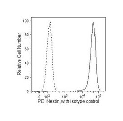 Nestin Mouse, PE, Clone: 25/NESTIN, BD 50 Tests | Buy Online | BD Biosciences | Fisher Scientific