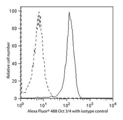 Oct3/4 Mouse, Alexa Fluor 488, Clone: 40/OCT-3, BD 50 Tests | Buy Online | BD Biosciences | Fisher Scientific
