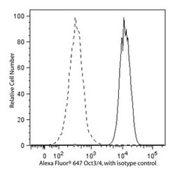 Oct3/4 Mouse, Alexa Fluor 647, Clone: 40/OCT-3, BD 50 Tests; Alexa Fluor