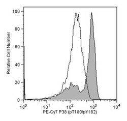 p38 MAPK (pT180/pY182) Mouse, PE-Cy7, Clone: 36/P38 (PT180/PY182), BD 50