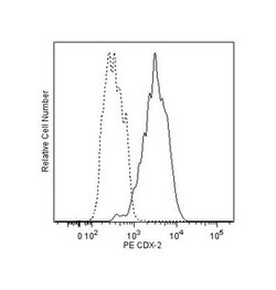 CDX-2 Mouse anti-Human, PE, Clone: M39-71, BD 50 Tests; PE:Antibodies,