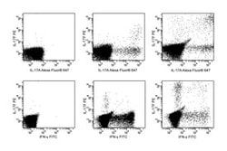 IL-17F Mouse anti-Human, PE, Clone: O33-782, BD 25 Tests; PE:Antibodies,