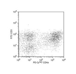 CD4a Mouse anti-Pig, PE-Cy7, Clone: 74-12-4, BD 50 &mu;g | Buy Online | BD Biosciences | Fisher Scientific