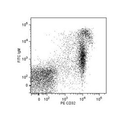 CD32 Mouse anti-Rat, PE, Clone: D34-485, BD 50 &mu;g | Buy Online | BD Biosciences | Fisher Scientific