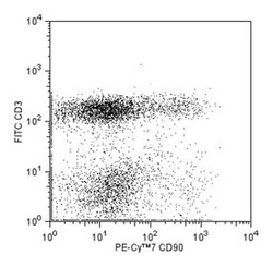 CD90.1 Mouse, PE-Cy7, Clone: OX-7 (also known as OX7), BD 50&mu;g; PE-Cy7:Antibodies,