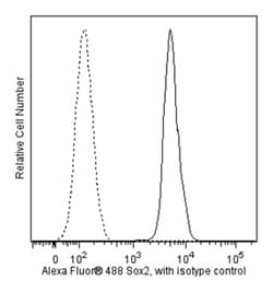 Sox2 Mouse, Alexa Fluor 488, Clone: O30-678, BD 50 Tests | Buy Online | BD Biosciences | Fisher Scientific