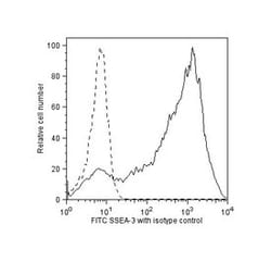 SSEA-3 Rat, FITC, Clone: MC631, BD 100 Tests; FITC:Antibodies, Monoclonal