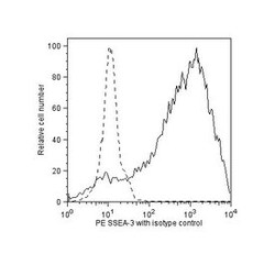 SSEA-3 Rat, PE, Clone: MC631, BD 100 Tests; PE:Antibodies, Monoclonal