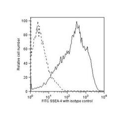 SSEA-4 Mouse, FITC, Clone: MC813-70, BD 100 Tests; FITC:Antibodies, Monoclonal