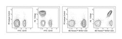 TCR Mouse anti-Human, PE, Clone: IP26 (also known as IP26A), BD 100 Tests | Buy Online | BD Biosciences | Fisher Scientific