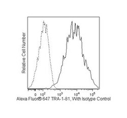 TRA-1-81 Antigen Mouse anti-Human, Alexa Fluor 647, Clone: TRA-1-81, BD 100 Tests | Buy Online | BD Biosciences | Fisher Scientific