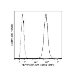 Vimentin Mouse anti-Human, PE, Clone: RV202, BD 50 Tests; PE:Antibodies,
