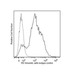 Vimentin Mouse anti-Human, PE, Clone: RV202, BD 50 Tests; PE:Antibodies,