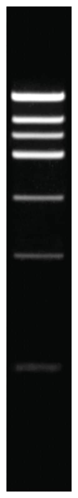 Thermo Scientific&trade;&nbsp;FastDigest&trade; BclI-kampanj