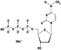 Thermo Scientific&trade;&nbsp;dm<sup>4</sup>CTP