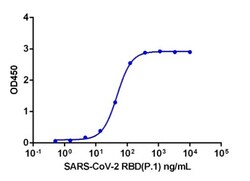 Genscript Corporation SARS-CoV-2 Spike protein (RBD, E484K, K417T, N501Y,
