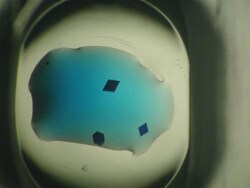 Hampton Research HR4-710/Izit Crystal Dye - each, Quantity: Each of 1