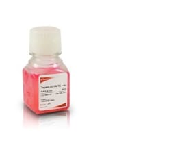 GenDEPOT TRYPSIN-EDTA(1X), 0.25%, 100ML