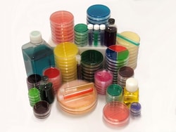 MOLTOX Molecular Toxicology Inc mEI Agar, 60 mm Plate, 10-12 mL/plate,