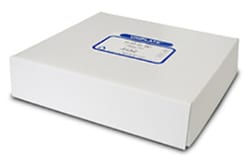 Miles Scientific RP18F ON GLASS 250UM 20X20CM (25 PLATES) 