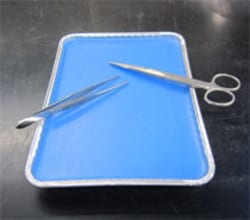 Braintree Scientific 