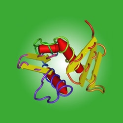 Accelagen TURBONUCLEASE 50 000 UNITS, Quantity: Each of 1
