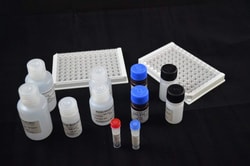 XpressBio HIV-1 p24 ELISA Kit, 96 wells, Quantity: Each of 1