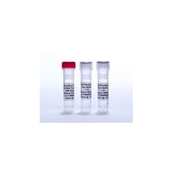 Agilent Technologies 40 RXN PFUULTRA II FUSION HS, Quantity: Each of 1