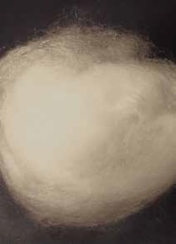 Costech Analytical Technologies Inc&nbsp;QUARTZ WOOL 5 GRAM