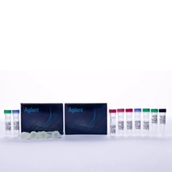 Agilent Technologies STRATACLONE BLUNT CLONING KIT, Quantity: Each of 1
