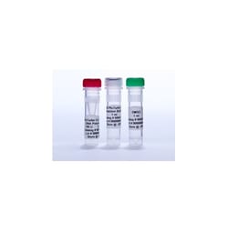 Agilent Technologies PFUTURBO CX DNA POLY 500 UNITS, Quantity: Each of