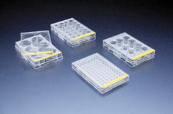 Midwest Scientific 6-Well Tissue Culture Plate, 126/Case, Quantity: Case