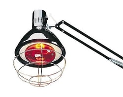 Lighting Specialties Company INFARED RED LAMP BULB, Quantity: Each of 1