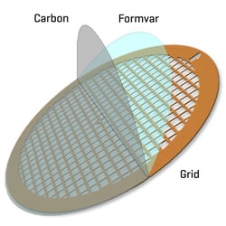 Electron Microscopy Sciences Formvar/Carbon Film 10 nm/1 nm thick on Square