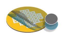 Electron Microscopy Sciences Formvar/Carbon Support Film 10 nm/1 nm thick on Gilder F2 Finder Gold Grid