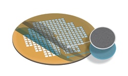 Electron Microscopy Sciences Formvar/Carbon Support Film 10 nm/20-30 nm thick on London Finder LF200 Copper Grid