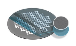 Electron Microscopy Sciences Formvar/Carbon Support Film 25-50 nm/20-30 nm thick on London Finder LF200 Nickel Grid