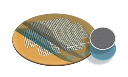Electron Microscopy Sciences Formvar/Carbon Support Film 5-6 nm/1 nm thick on London Finder LF400 Copper Grid