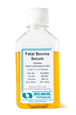 R Fetal Bovine Serum - Optima, Heat Inactivated, Quantity: Each of 1