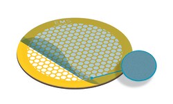 Electron Microscopy Sciences Formvar Support Film 5-6 nm thick on Hexagonal 100 mesh Gold Grid