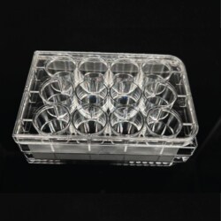 Mascon Medical Mascon Medical Cell Culture Plate, 12-Well, Sterile, 1EA/Bag,