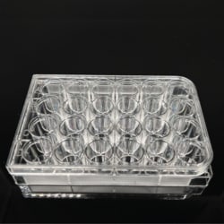 Mascon Medical Mascon Medical Cell Culture Plate, 24-Well, Sterile, 1EA/Bag,