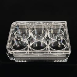 Mascon Medical™ Cell Culture Plate, 6-Well, Sterile, 1EA/Bag, 100 Bags/Case