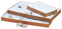 Compartmented Collection Boxes