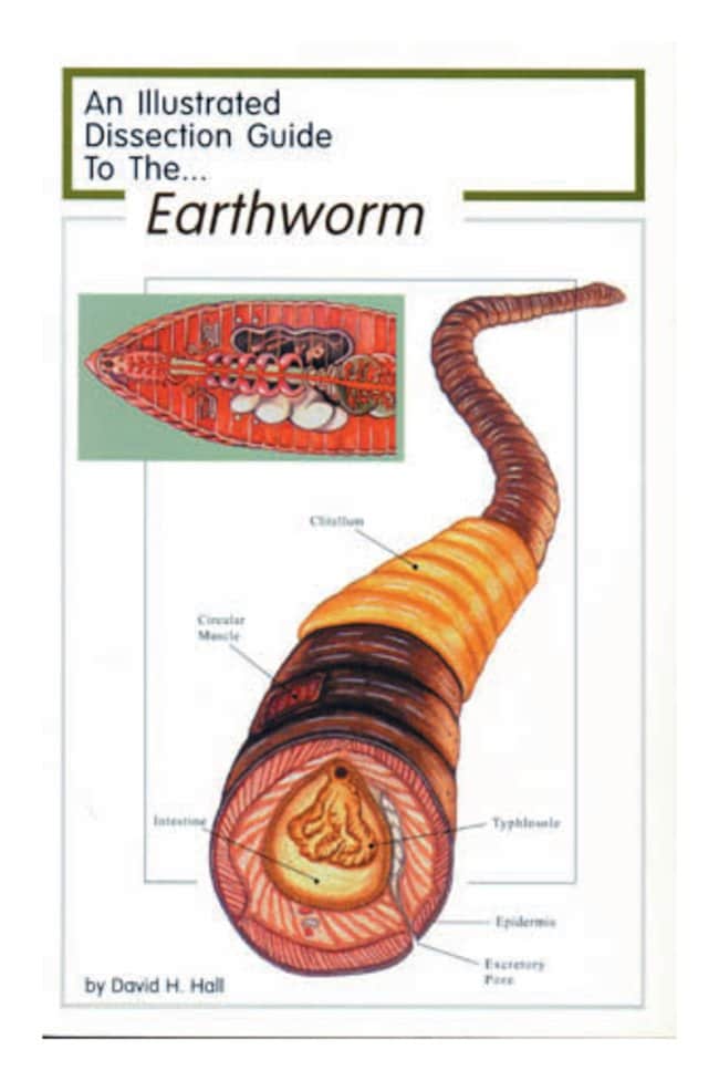 earthworm dissection classification fisher science education dissection guide to the earthworm dissection earthworm dissection classification fisher science education dissection guide to the earthworm dissection