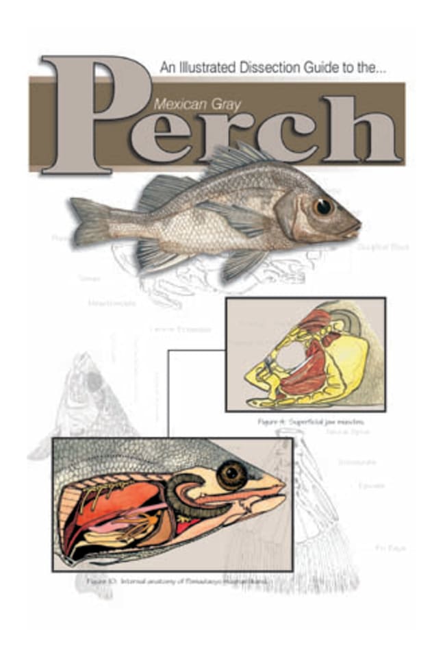 Fisher Science Education Mini Dissection Guide to the Bony Fish