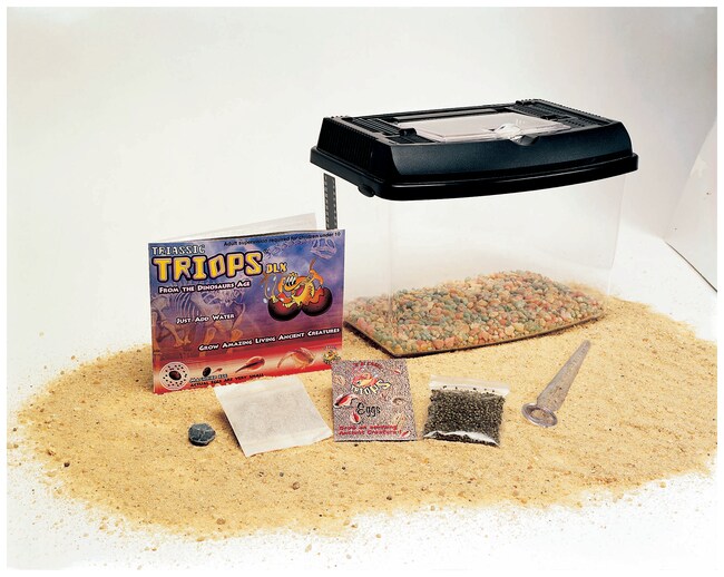 Triassic Triops Dlx Kit 20 30 Eggs Teaching Supplies Fisher Scientific