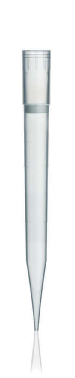BRAND Filter Tips:Pipette Products:Pipette Tips